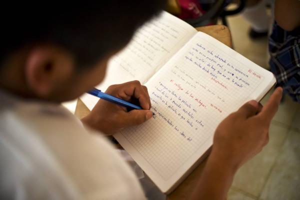 El problema de cobertura escolar según encuesta de Ibagué Cómo Vamos 2016